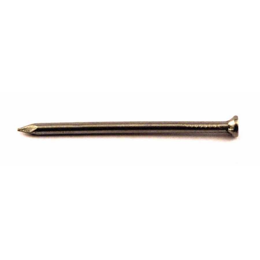 Nails Bright Panel Pins Small Pack