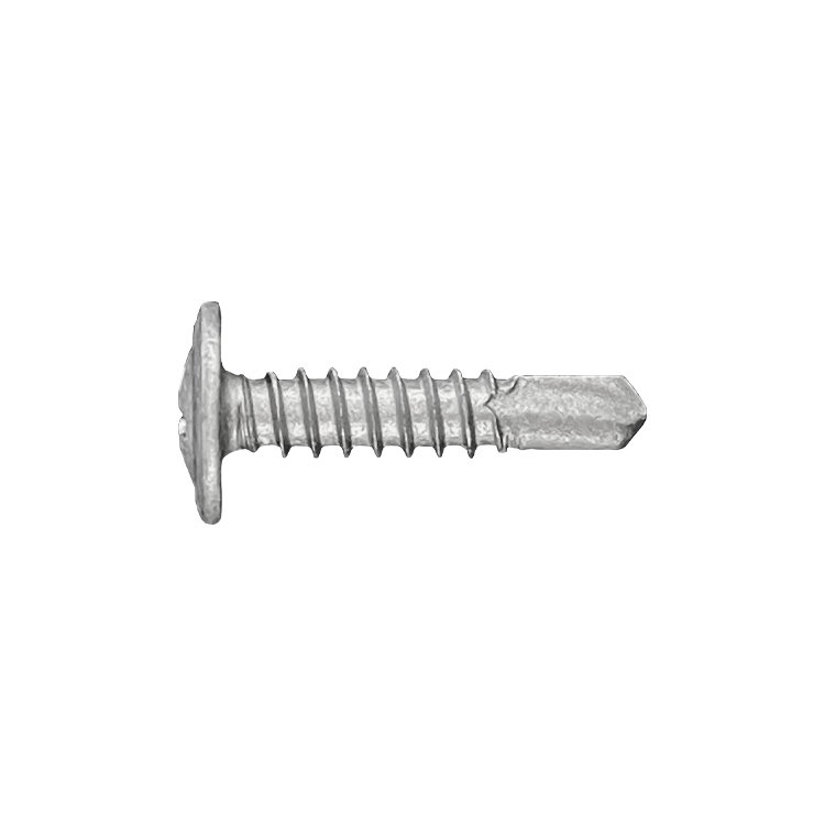 wafer head screw