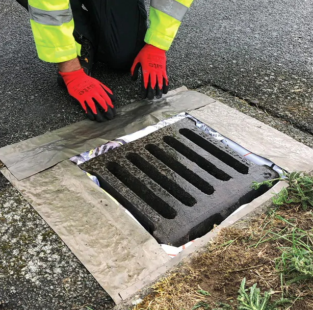 Green Rhino EnviroHorn™ Drain Filter