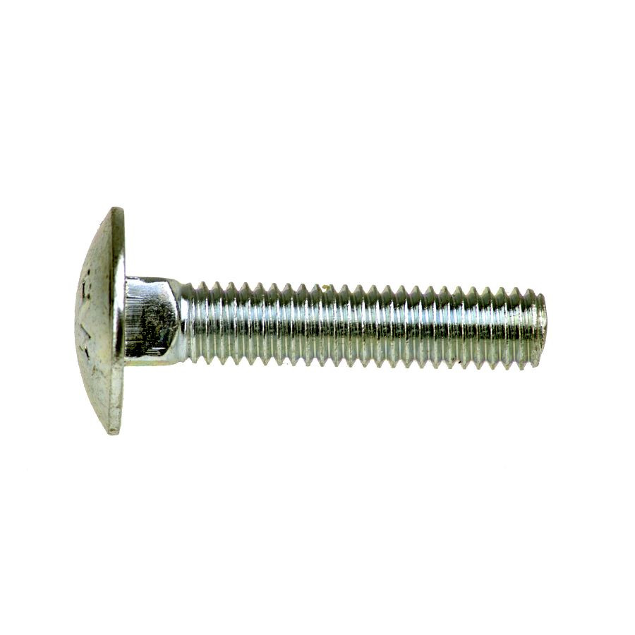 Coachbolt Cup Sq Bolt A2SS