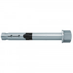 FH II-H High Performance Anchor with Cap Nut