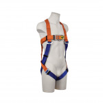 Aresta Double Point Harness with Standard Buckles