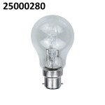 Bulbs