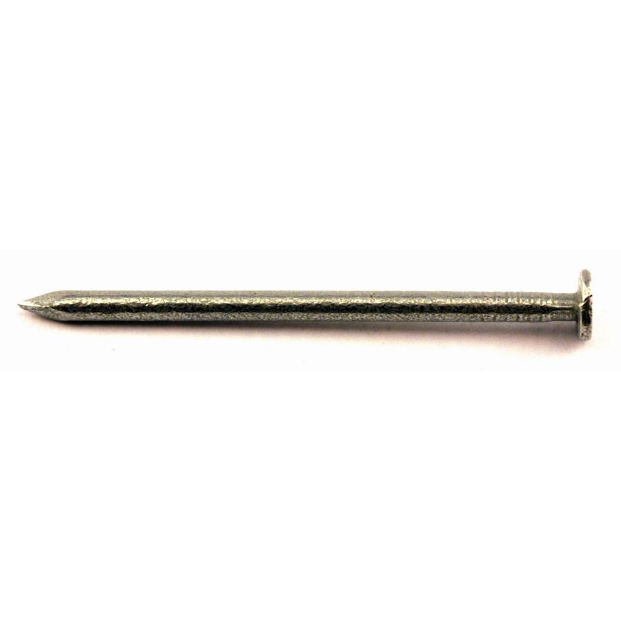 Challenge 65mm Galvanised Oval Nails – FrankShaw