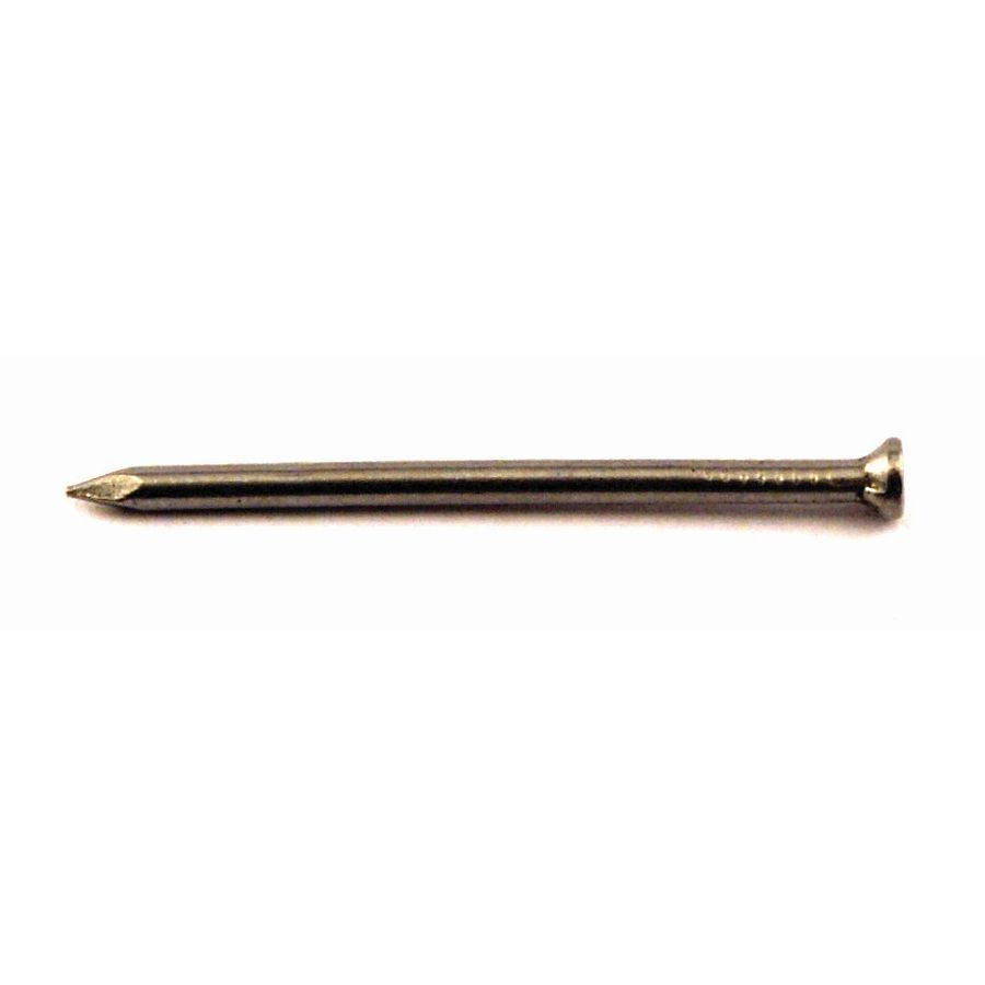 Nails Bright Panel Pins Small Pack