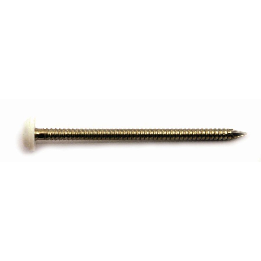 Your DIY Shop Galvanised Round Wire Head Nails - 2