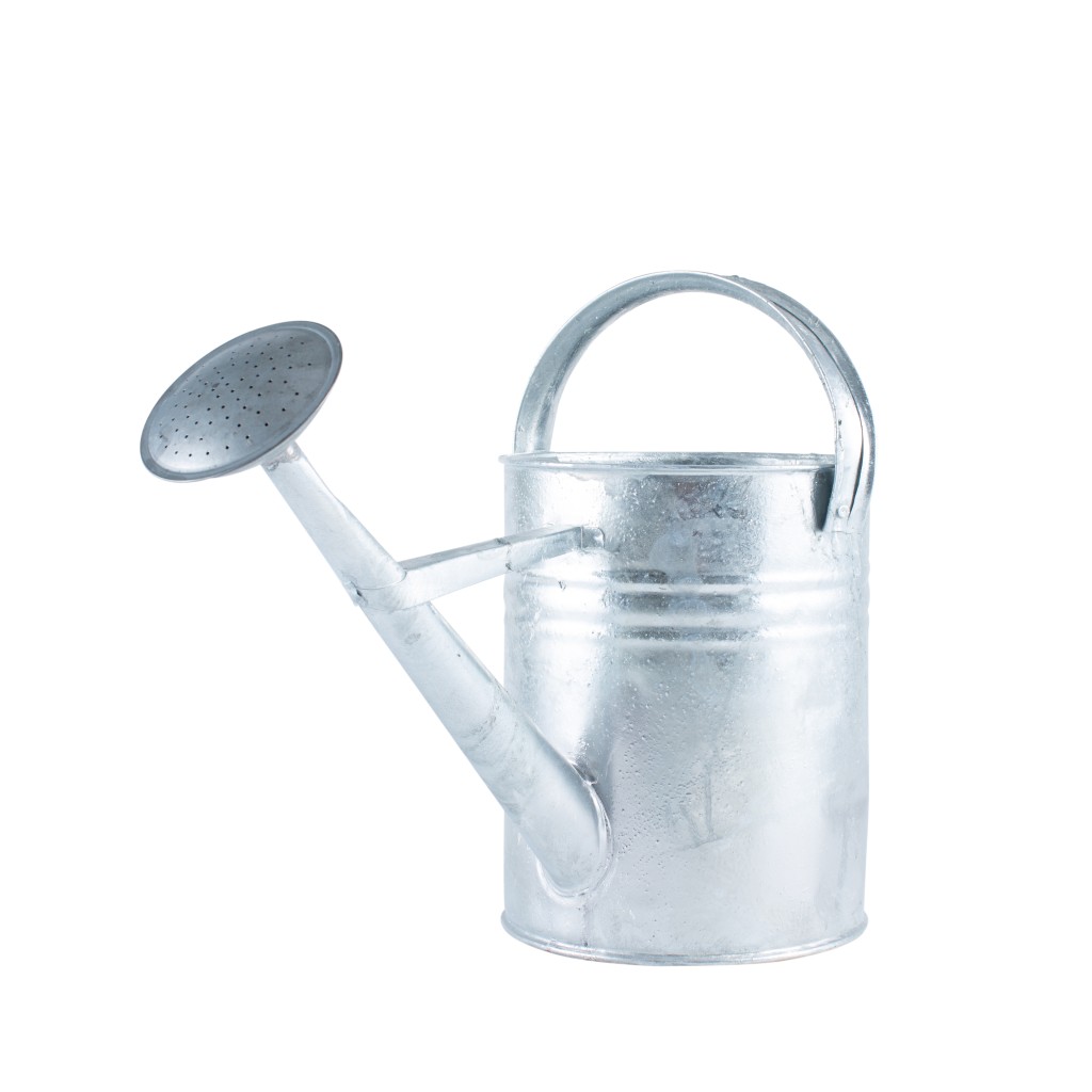 Watering Can Galv