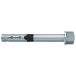 fischer FH II-H High Performance Anchor with Cap Nut