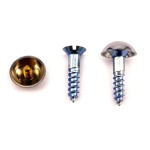 Mirror Screws