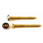 Mirror Screws