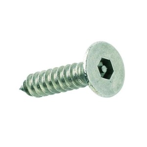 security screws