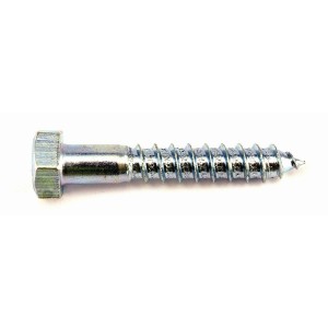 coach screw